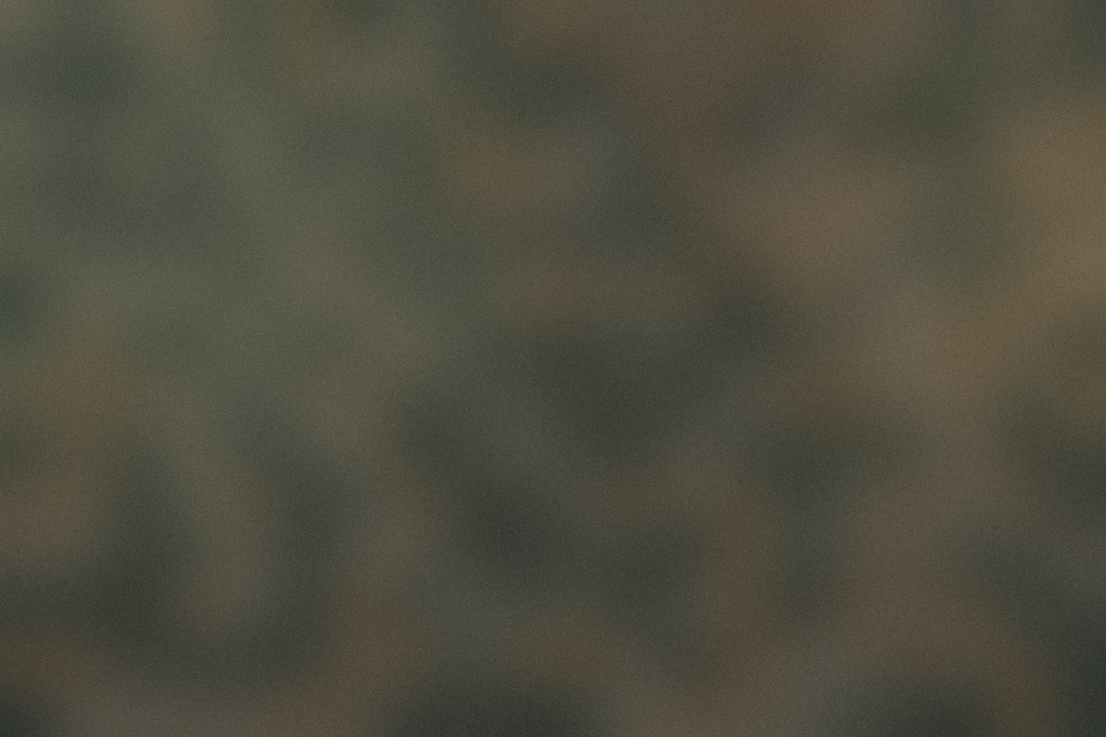 Day seven, the surface still clean.
