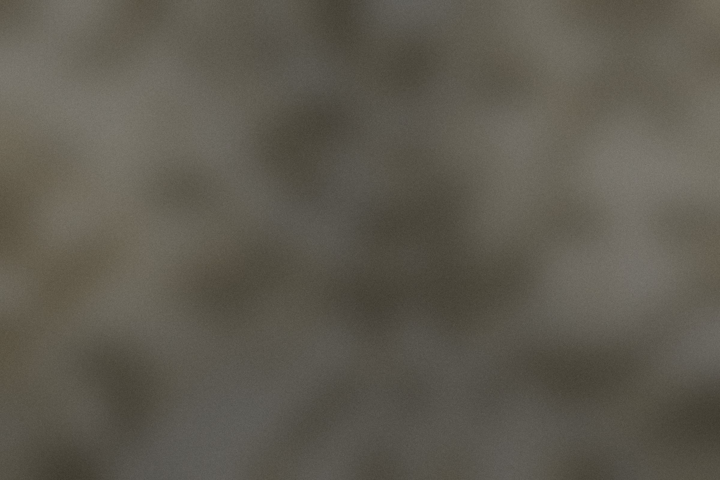 The first loaf of a cold month.
