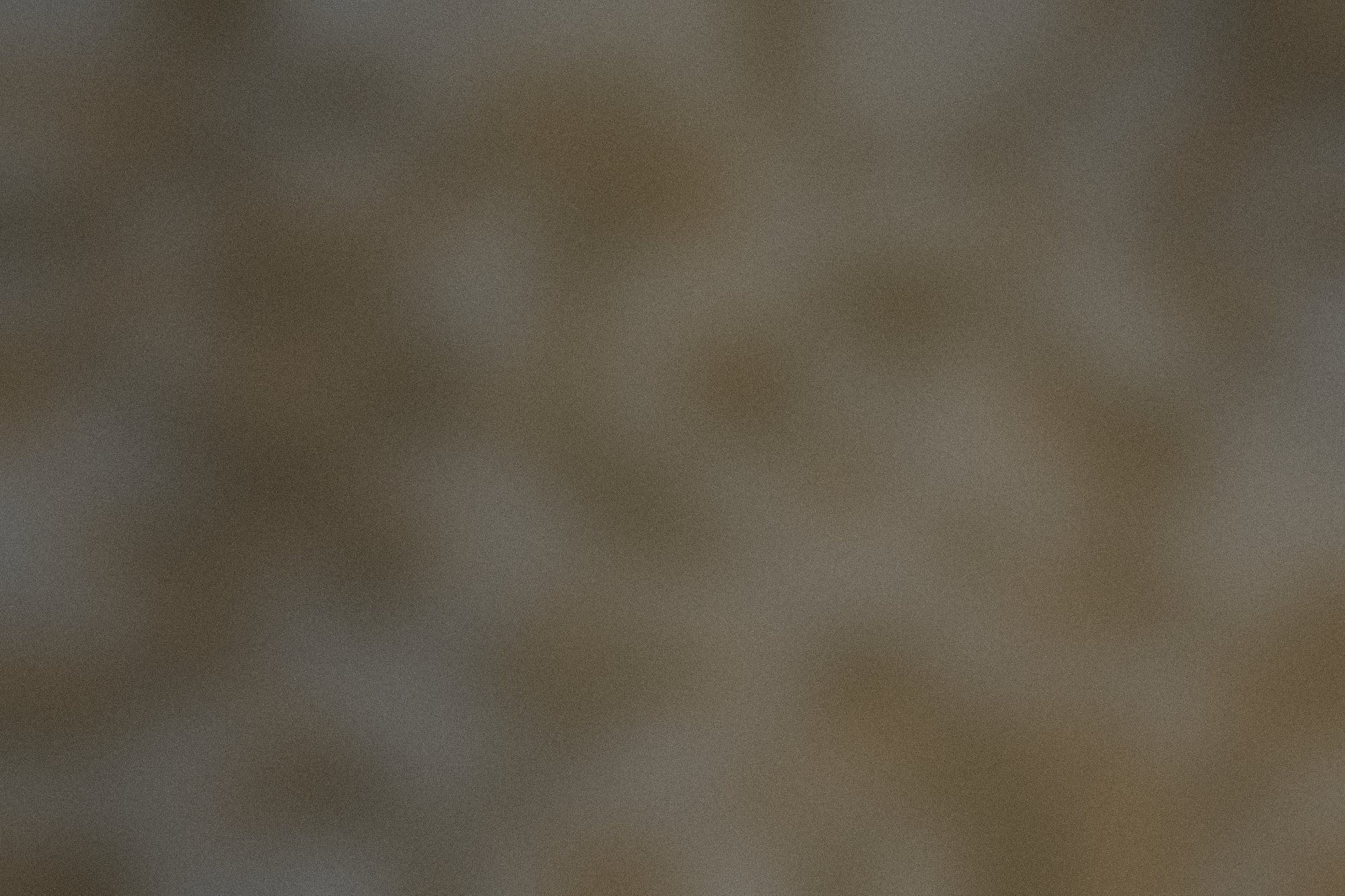 Day seven, the surface still clean.